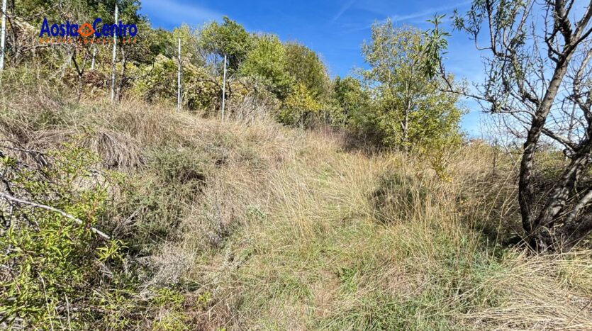 Terreno Agricolo in vendita Aosta Zona collinare_2