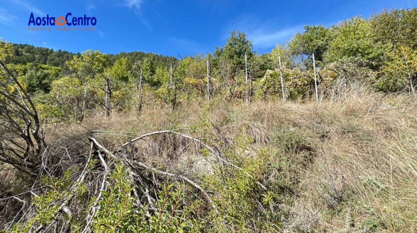 Terreno Agricolo in vendita Aosta Zona collinare_3