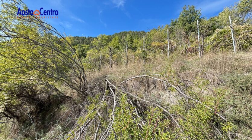 Terreno Agricolo in vendita Aosta Zona collinare_4