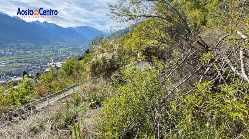 Terreno Agricolo in vendita Aosta Zona collinare_5
