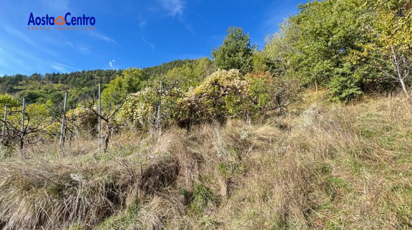 Terreno Agricolo in vendita Aosta Zona collinare_7
