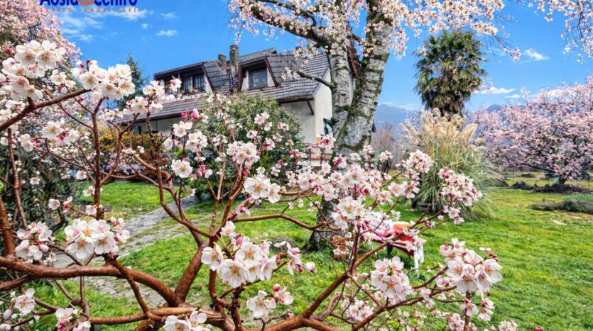 Casa Indipendente in vendita Cuorgnè_18