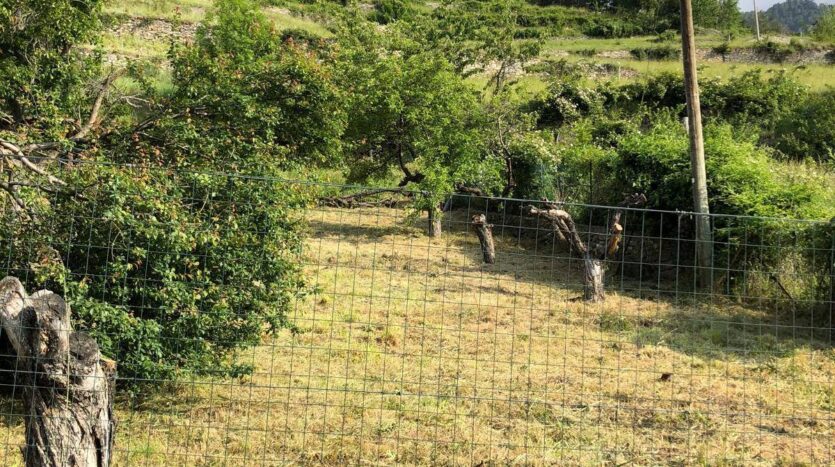 Rustico in vendita Saint-Pierre Champretavy_14