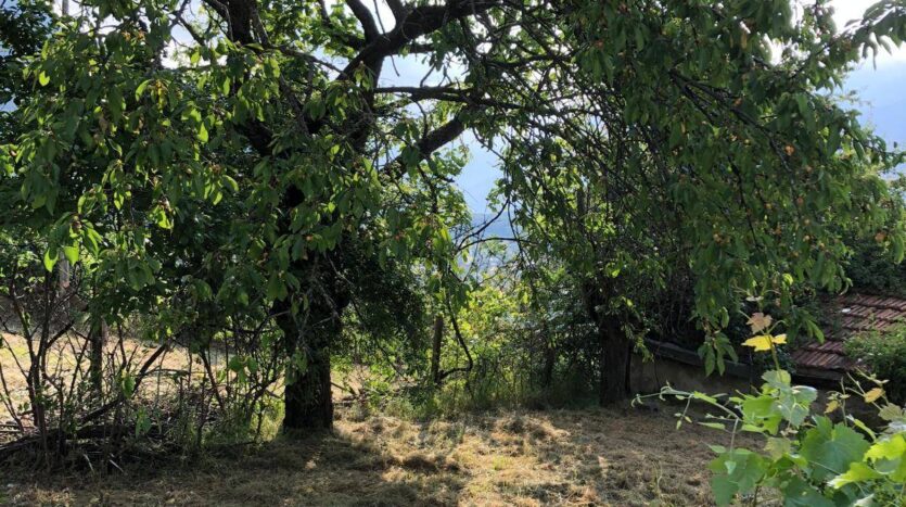 Rustico in vendita Saint-Pierre Champretavy_17