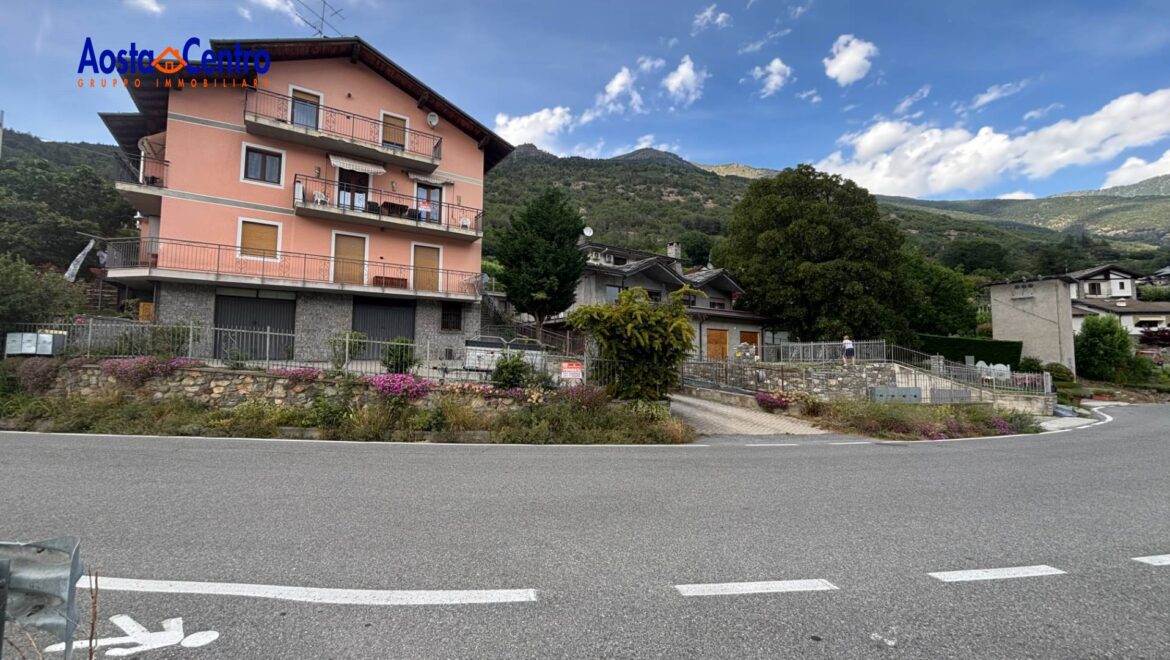 immagine video